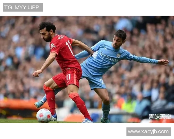 数据揭示:五大联赛本赛季表现起伏不定